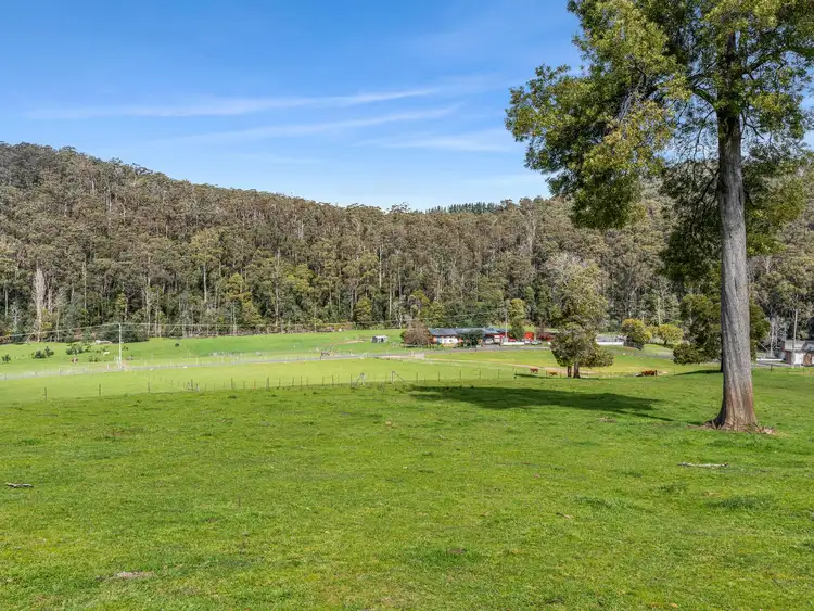 Fifth view of Homely rural property listing, 360 Lobster Creek Road, West Ulverstone TAS 7315