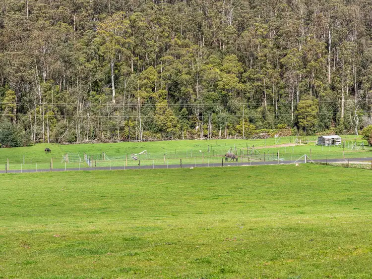Sixth view of Homely rural property listing, 360 Lobster Creek Road, West Ulverstone TAS 7315