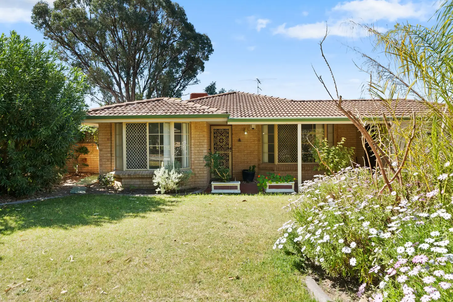 Main view of Homely house listing, 29 Misty Meander, Greenfields WA 6210