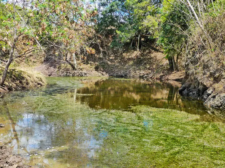 Sixth view of Homely rural property listing, 260 Shannen Road, Dalma QLD 4702