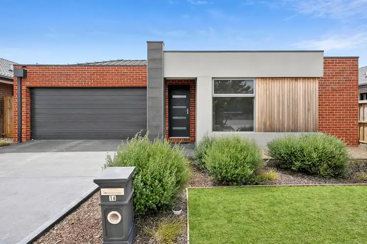 16 Callistemon Circuit