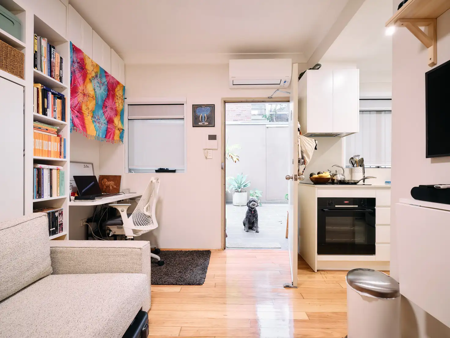 Main view of Homely studio listing, 2/225 Parramatta Road, Annandale NSW 2038