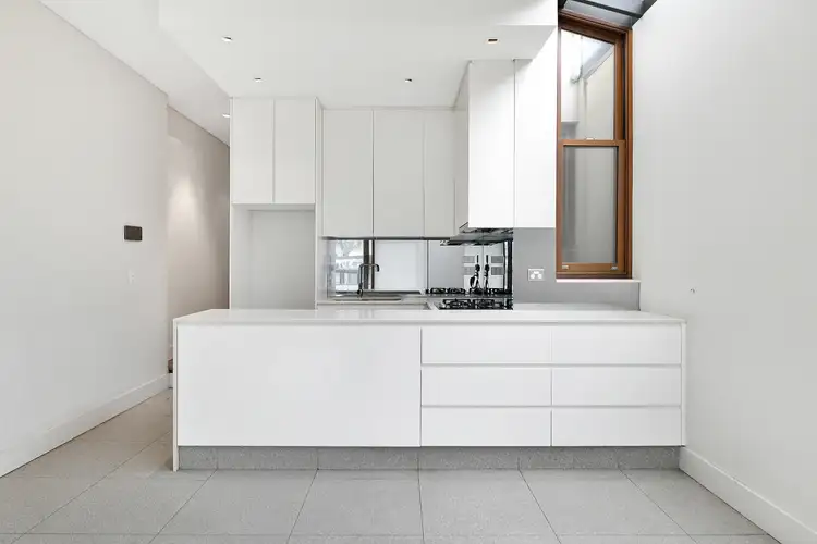 117 Chelmsford Street, Newtown NSW 2042