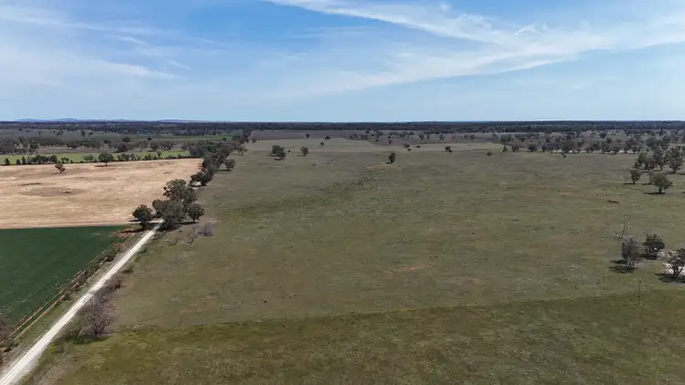 Fourth view of Homely rural property listing, 3166 Back Trundle Road, Parkes NSW 2870