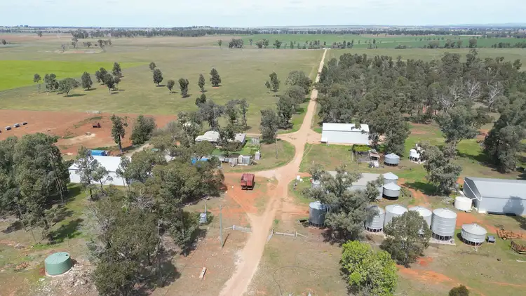 Fifth view of Homely rural property listing, 3166 Back Trundle Road, Parkes NSW 2870