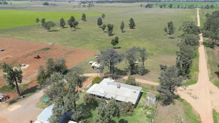 Sixth view of Homely rural property listing, 3166 Back Trundle Road, Parkes NSW 2870