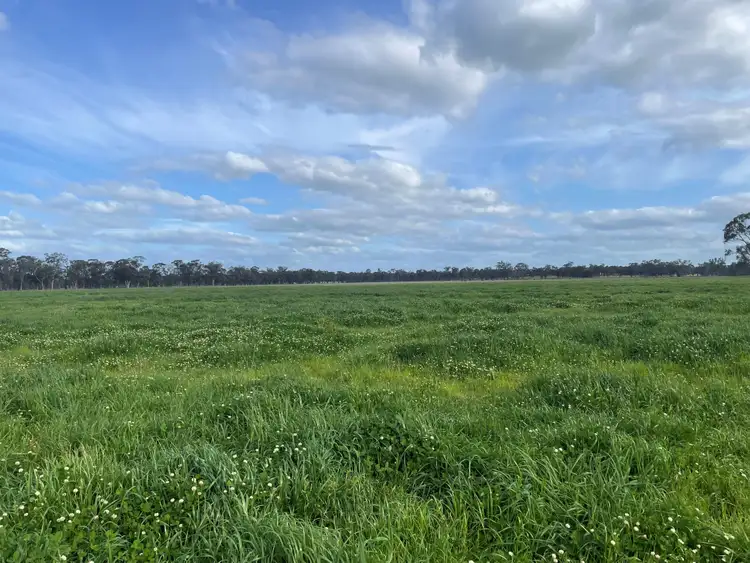 Fourth view of Homely rural property listing, Lot 2 & Lot 1, PS 72 Basin Road, Tarnook VIC 3670
