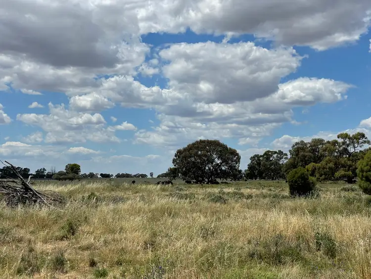 Seventh view of Homely rural property listing, 'Yileen' 4371 Moulamein Road, Tullakool NSW 2732