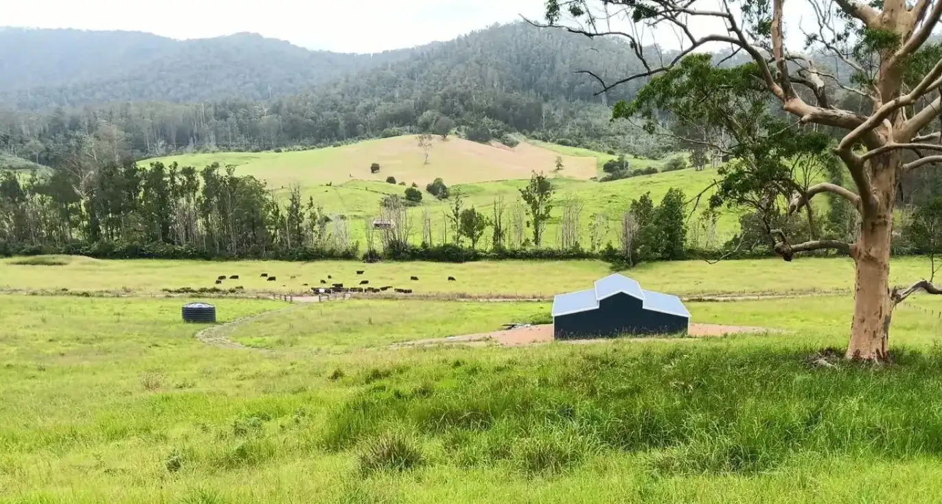 Main view of Homely rural property listing, Lot 1/2667 Pappinbarra Rd, Pappinbarra NSW 2446