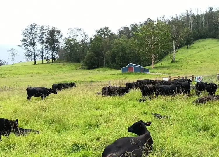 Fourth view of Homely rural property listing, Lot 1/2667 Pappinbarra Rd, Pappinbarra NSW 2446