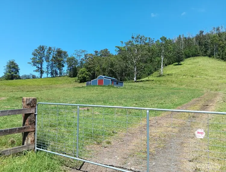Seventh view of Homely rural property listing, Lot 1/2667 Pappinbarra Rd, Pappinbarra NSW 2446
