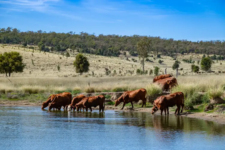Second view of Homely rural property listing, 3215 Cracow Road, Taroom QLD 4420