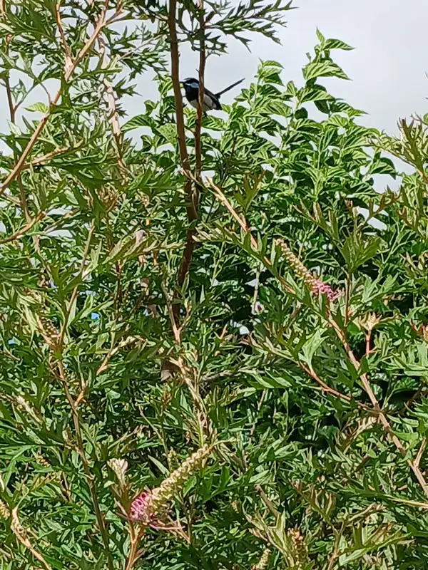 Fourth view of Homely house listing, 10 Highland Park Road, Meringandan West QLD 4352