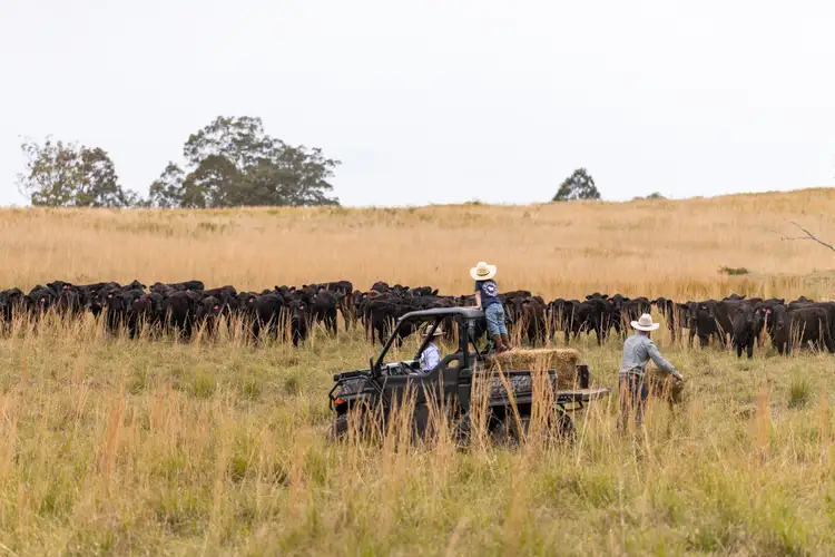 Fourth view of Homely rural property listing, 152 Red Gully Road, Burrell Creek NSW 2429