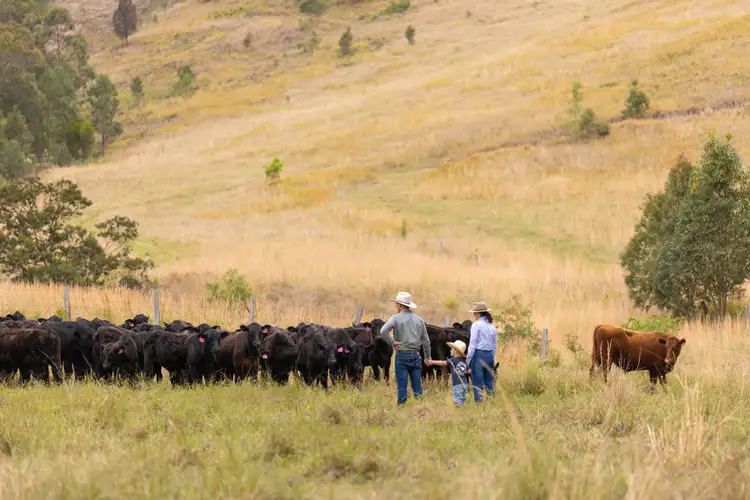Sixth view of Homely rural property listing, 152 Red Gully Road, Burrell Creek NSW 2429