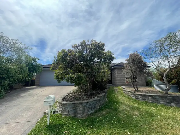 Main view of Homely house listing, 116 Casey Drive, Hunterview NSW 2330
