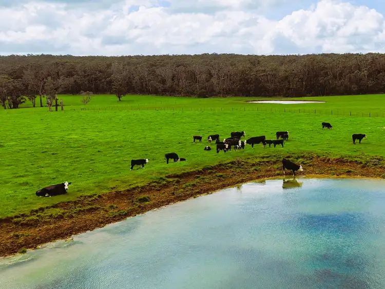 Sixth view of Homely rural property listing, 149 Timboon-Port Campbell Road, Timboon VIC 3268