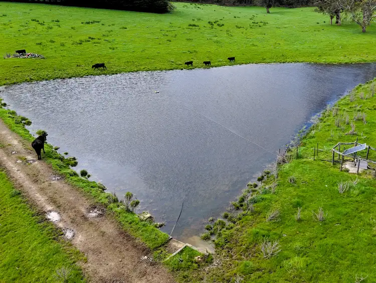 Seventh view of Homely rural property listing, 149 Timboon-Port Campbell Road, Timboon VIC 3268