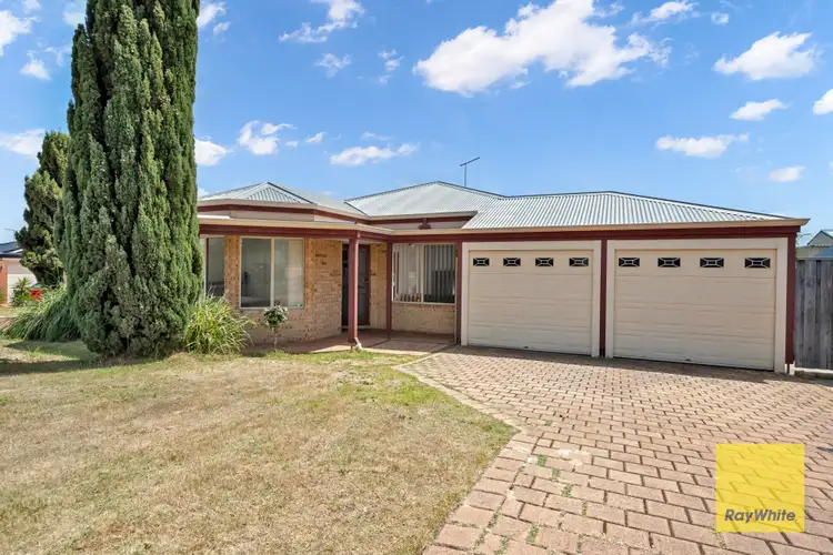 15 Truscott Elbow, Alexander Heights WA 6064