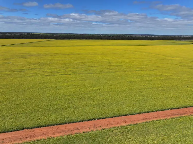 Main view of Homely rural property listing, 'EMERALD HILLS' 87 Gardners Road, Ariah Park NSW 2665