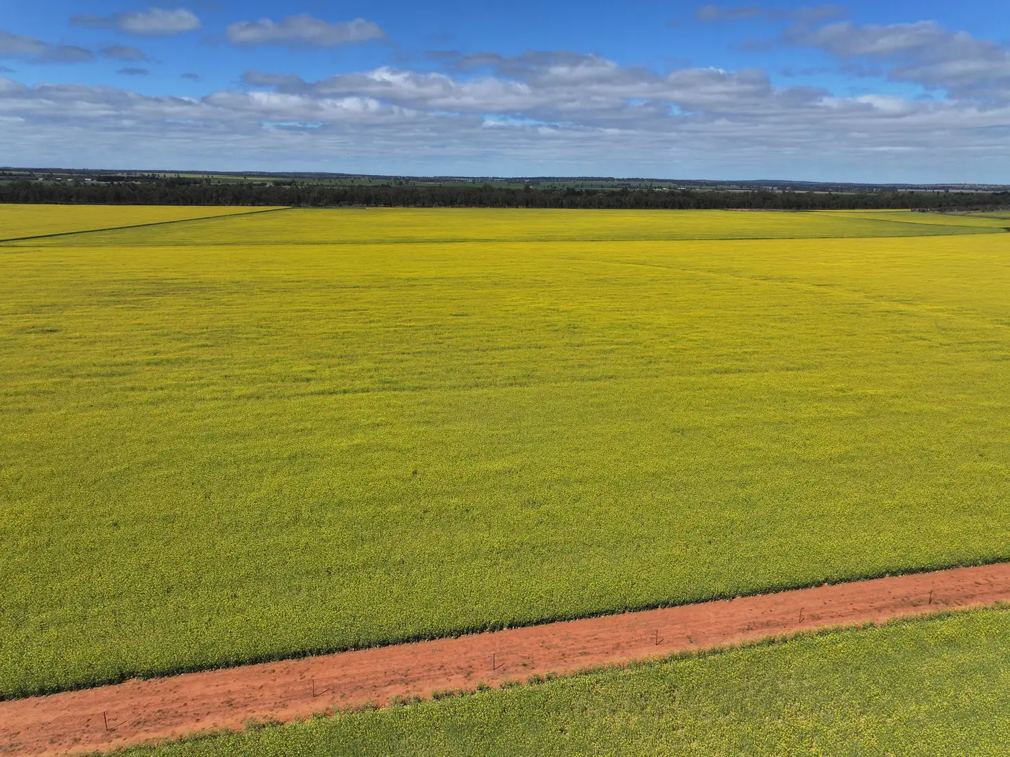 Main view of Homely rural property listing, 'EMERALD HILLS' 87 Gardners Road, Ariah Park NSW 2665