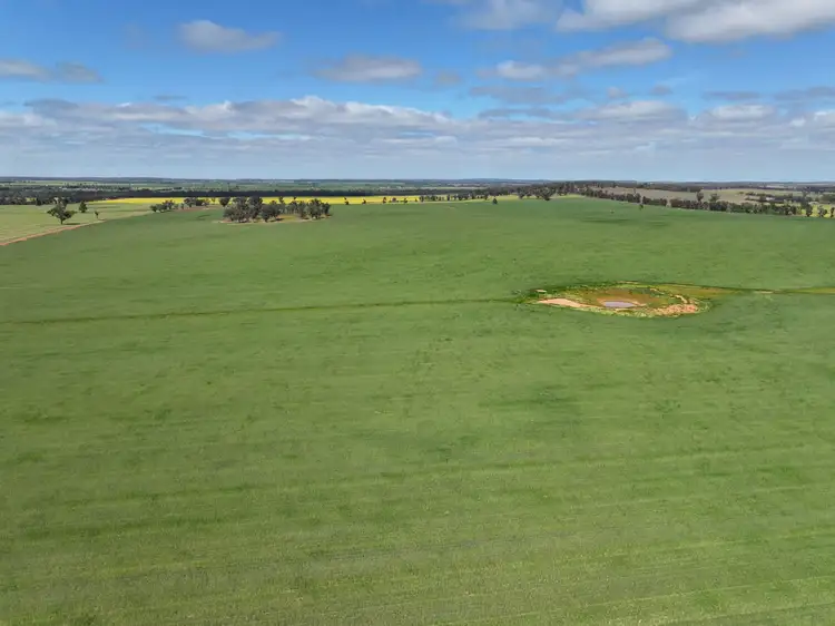 Third view of Homely rural property listing, 'EMERALD HILLS' 87 Gardners Road, Ariah Park NSW 2665