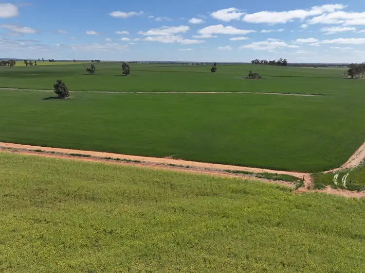 Fourth view of Homely rural property listing, 'EMERALD HILLS' 87 Gardners Road, Ariah Park NSW 2665