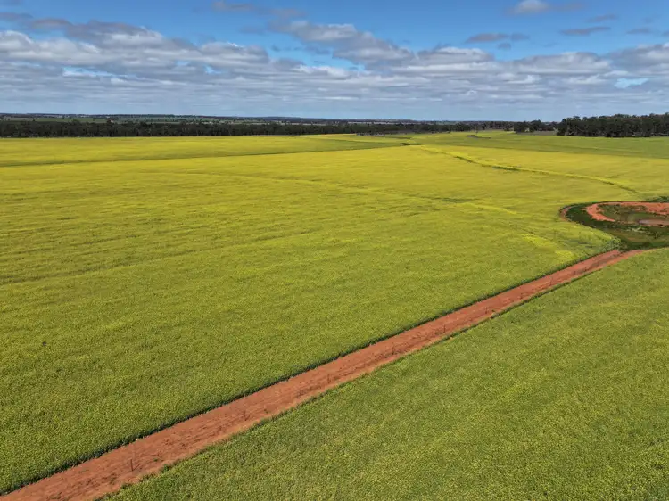 Fifth view of Homely rural property listing, 'EMERALD HILLS' 87 Gardners Road, Ariah Park NSW 2665
