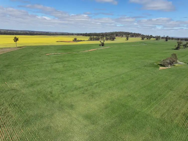 Sixth view of Homely rural property listing, 'EMERALD HILLS' 87 Gardners Road, Ariah Park NSW 2665