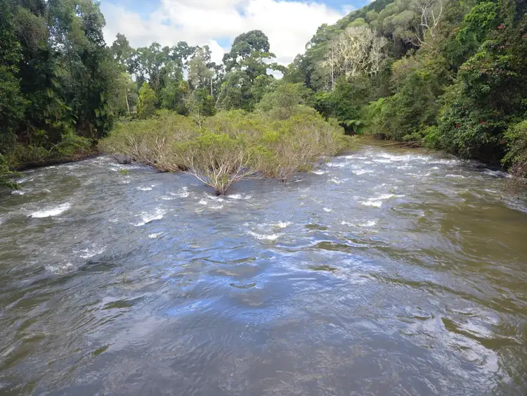 RN928 Glen Allyn Rd, Malanda QLD 4885