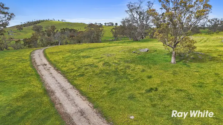 Lot 913 Military Road