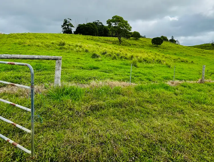 Second view of Homely rural property listing, 1297 Mossman - Mt Molloy Rd, Julatten QLD 4871