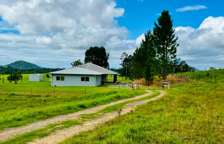 Fifth view of Homely rural property listing, 1297 Mossman - Mt Molloy Rd, Julatten QLD 4871