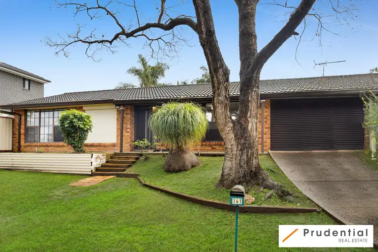 141 Harrow Rd, Glenfield NSW 2167