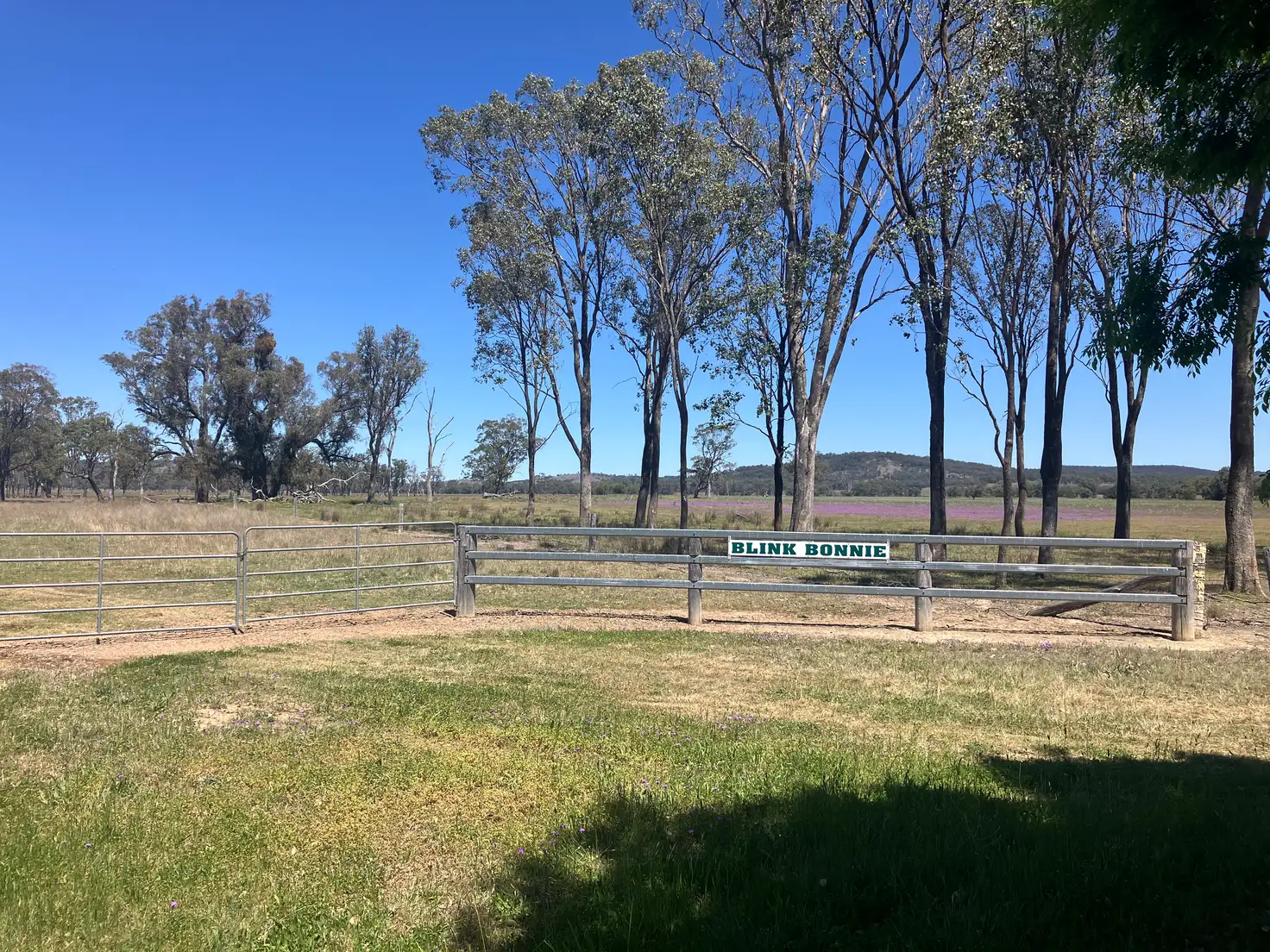 Main view of Homely rural property listing, 'Blink Bonnie' 1128 Leyburn-Cunningham Road, Old Talgai QLD 4362