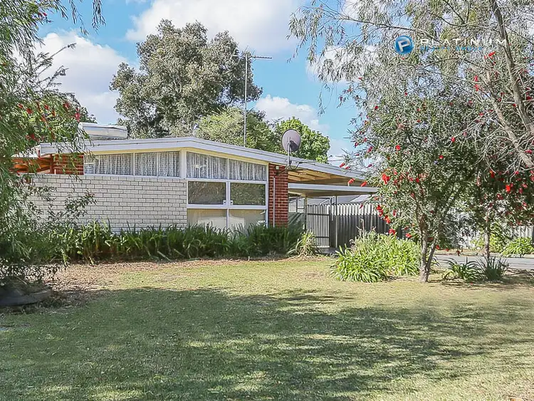 Second view of Homely house listing, 41 Knowles Street, Balcatta WA 6021