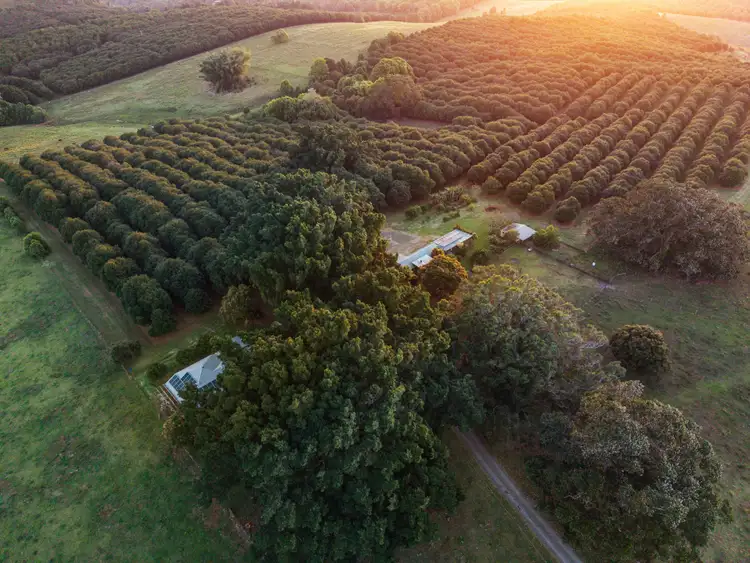 Third view of Homely rural property listing, 241 Alcorn Road, Knockrow NSW 2479