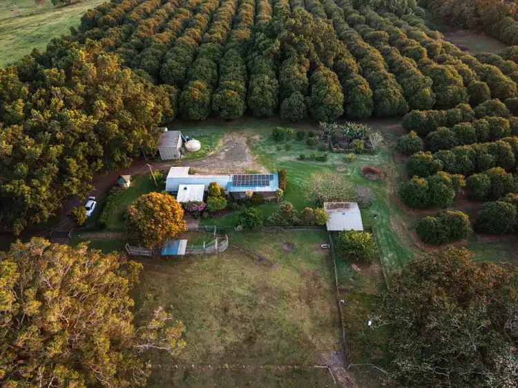 Fourth view of Homely rural property listing, 241 Alcorn Road, Knockrow NSW 2479