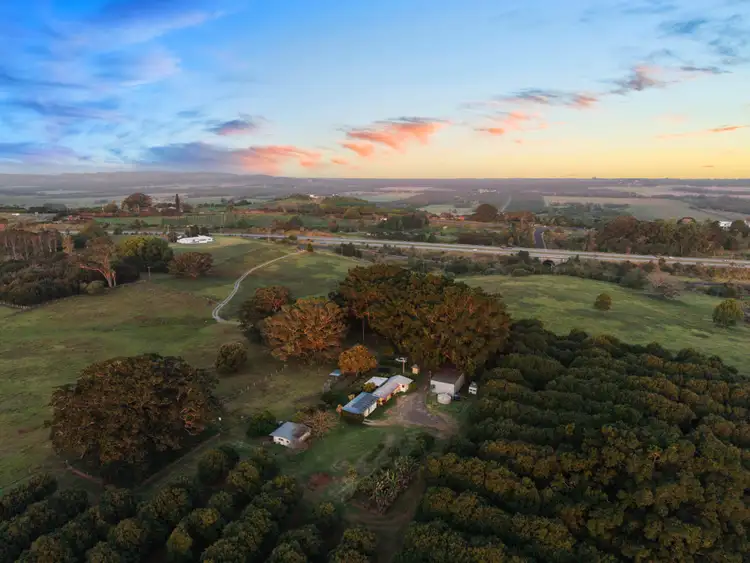 Fifth view of Homely rural property listing, 241 Alcorn Road, Knockrow NSW 2479