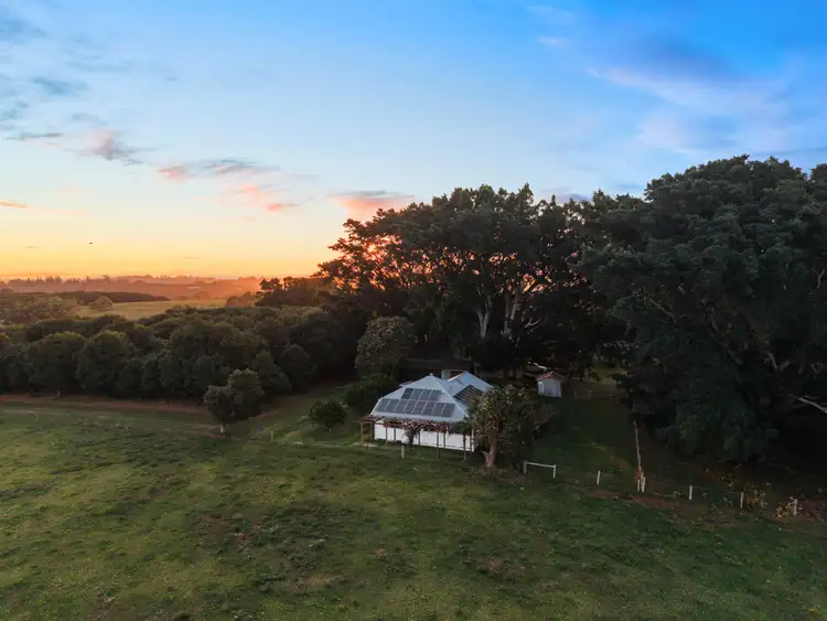 Sixth view of Homely rural property listing, 241 Alcorn Road, Knockrow NSW 2479