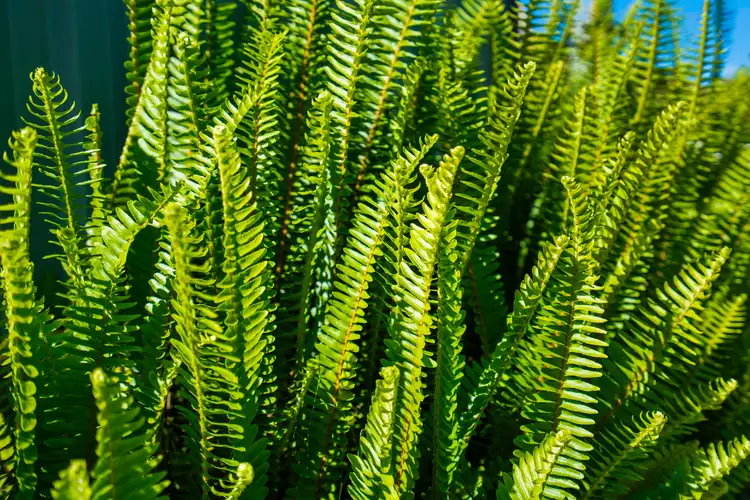 Third view of Homely house listing, 26 Lillian Road, Riverwood NSW 2210