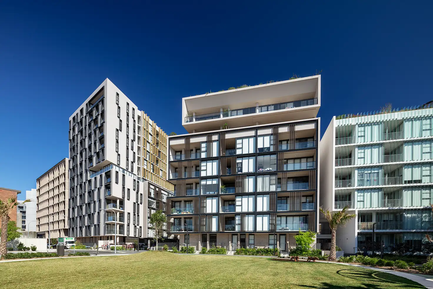 Main view of Homely apartment listing, 1703/8 Kingsborough Wy, Zetland NSW 2017