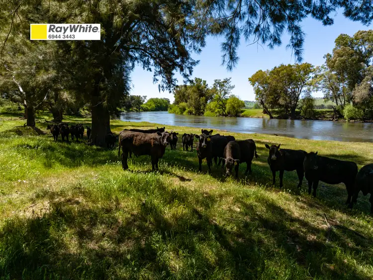44 Dodd Street, Gundagai NSW 2722