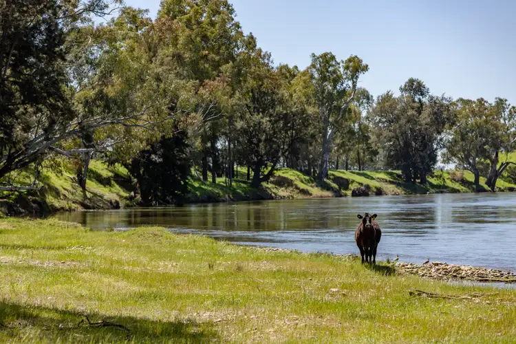Third view of Homely land listing, 44 Dodd Street, Gundagai NSW 2722