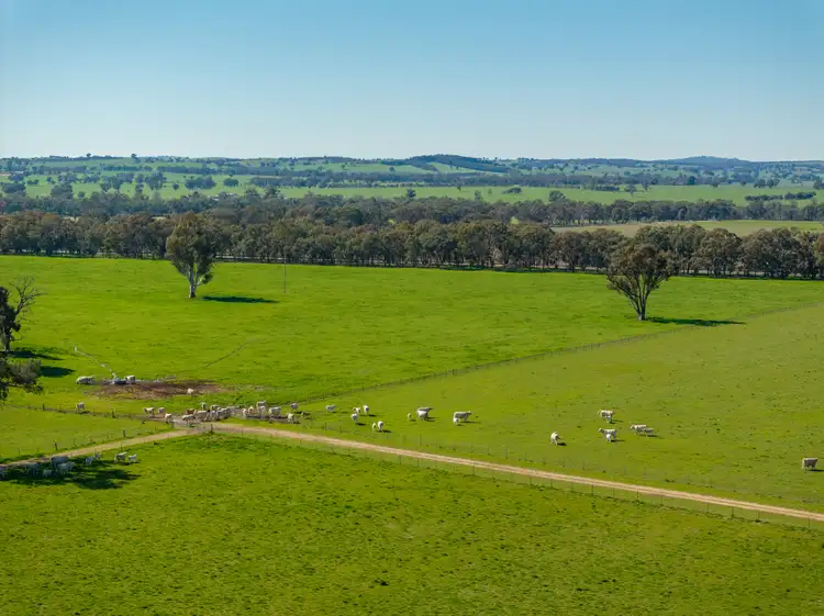 2018 Henty Cookardinia Road, Cookardinia NSW 2650