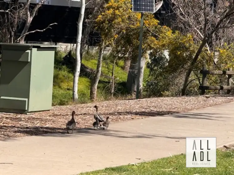 Sixth view of Homely house listing, 3 Lancaster Avenue, Valley View SA 5093