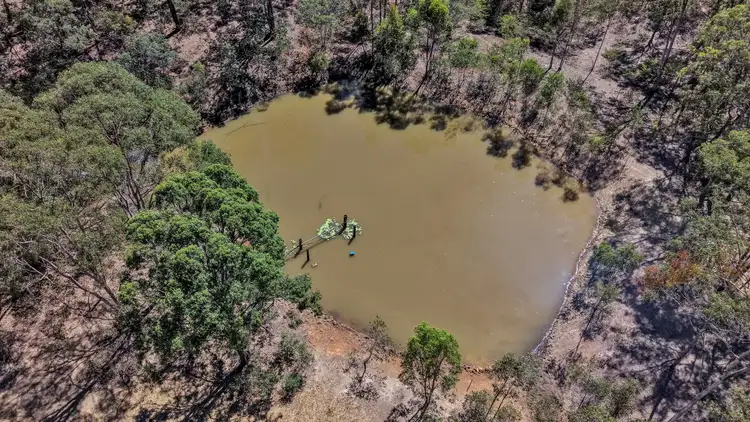 Sixth view of Homely rural property listing, 264 Rainbows Road, South Isis QLD 4660