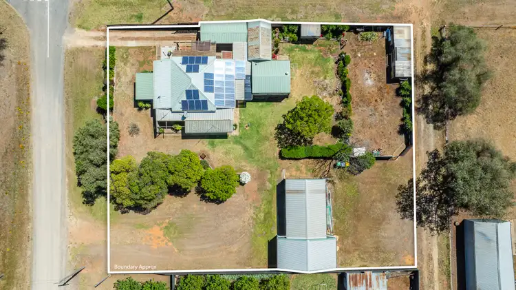 50 Young Street, Oaklands NSW 2646