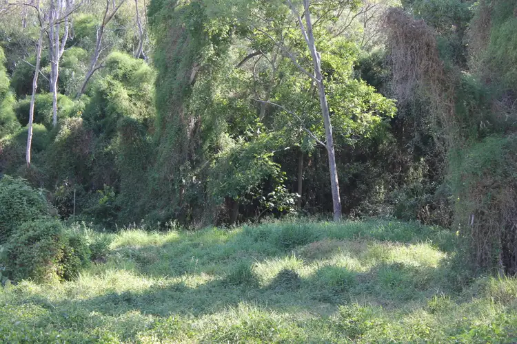 Fourth view of Homely rural property listing, 198-256 Blakes Road, Rosewood QLD 4340