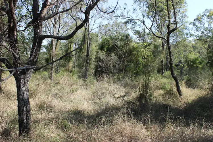 Fifth view of Homely rural property listing, 198-256 Blakes Road, Rosewood QLD 4340